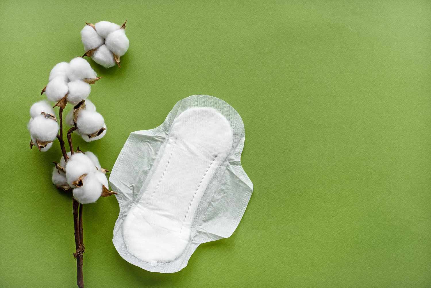 Organic postpartum pads: A white sanitary pad next to a cotton branch, set against a green background.