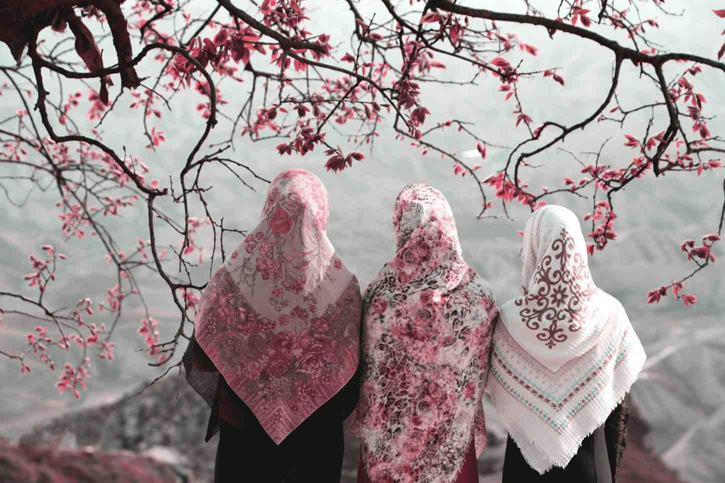 Three women in floral headscarves, standing beneath pink blossoms, gaze at a serene landscape in soft, muted tones.