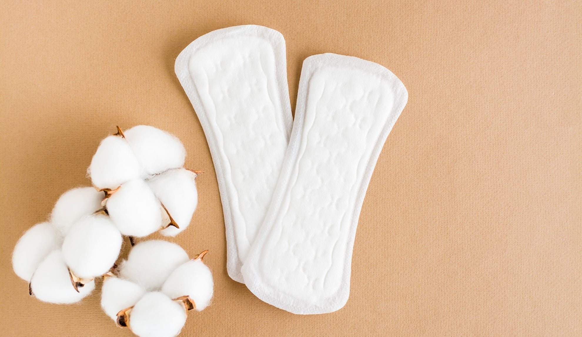 Why Switching to Organic Pads Is Better for Your Body and the Planet?